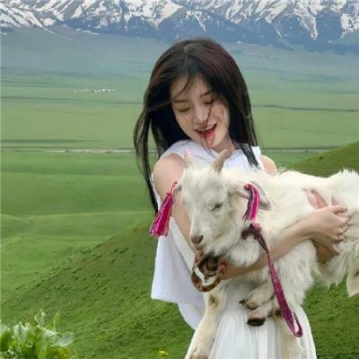 梦想巨无霸