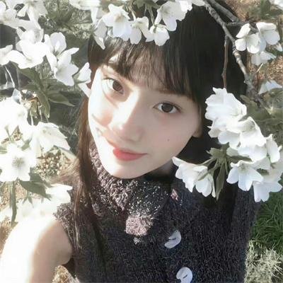 法医秦明2清道夫